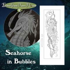 Seahorse-in-Bubbles-with-closeup-of-seahorse-face