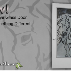 A-decorative-glass-door-for-commercial-vet-clinic