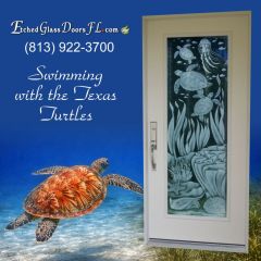 1_Swimming-with-the-Texas-Turtles