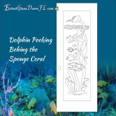 Dolphin-Peeking-Behind-the-Sponge-Coral