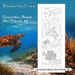 Fernandina-Beach-Sea-Friends-2