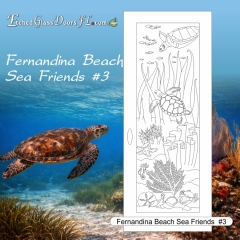 Fernandina-Beach-Sea-Friends-3
