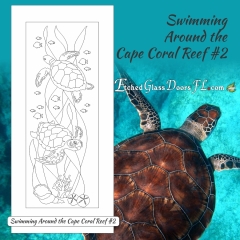 Swimming-around-Cape-Coral-reef-2