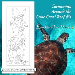 Swimming-around-Cape-Coral-reef-3