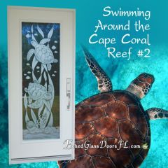 Swimming-around-the-Cape-Coral-Reef-2