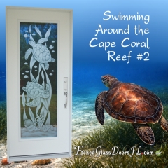 Swimming-around-the-Cape-Coral-Reef-2