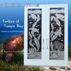 Turtles-of-Tampa-Bay-8-0