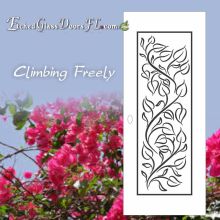 Climbing-Freely