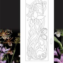 Orchid-Magic-2