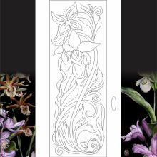 Orchid-Magic
