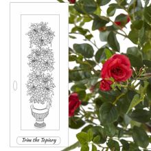 Trim-the-Topiary-