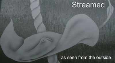 Streamed-with-etched-stingray-design-shown-from-outside