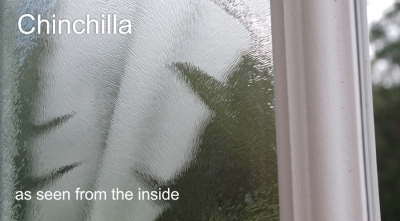 Chinchilla-glass-texture-door-insert-inside-view