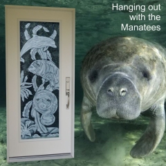 Hanging-Out-with-the-Manatees-underwater