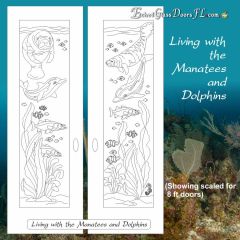 Living-with-the-Manatees-and-Dolphins-2