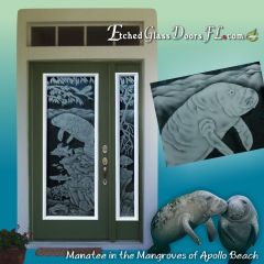 Manatees-and-Mangroves-of-Apollo-Beach