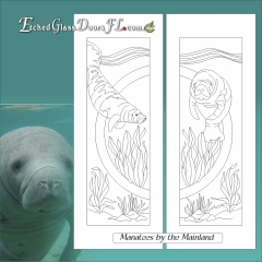 Manatees on double entry doors