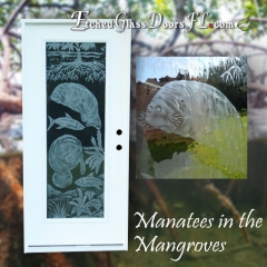 Manatees-in-the-Mangrove-roots
