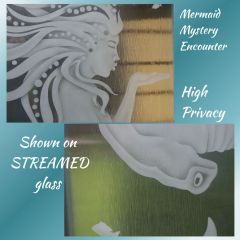 Mermaid-Mystery-Encounter-on-high-privacy-door-glass