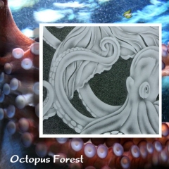 Octopus-Forest-closeup-