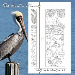 Pelican-in-Pinellas-2