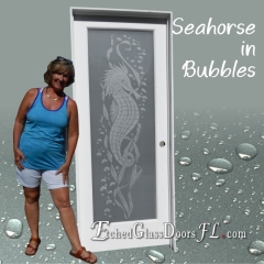 Seahorse-in-Bubbles-interior-frosted-door