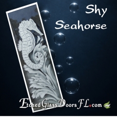 Shy-Seahorse-with-water