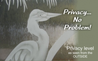 Egret on streamed glass doors with privacy