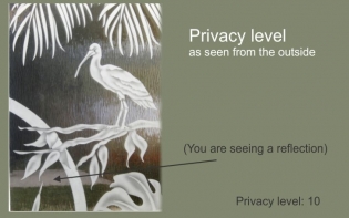 streamed glass privacy level outside view