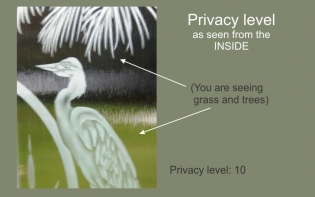 streamed glass texture privacy level inside view