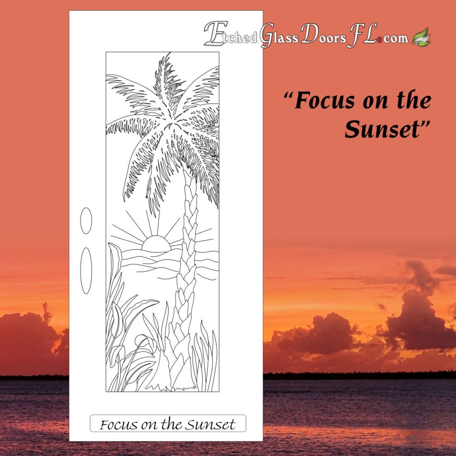 Focus-on-the-Sunset