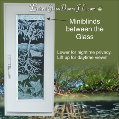 Mangrove-Tidewater-underwater-scene