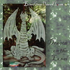 Dragon on patio doors
