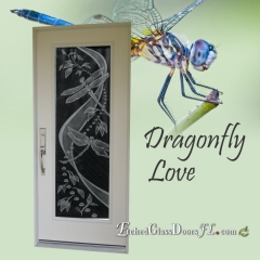 Dragonfly on glass door