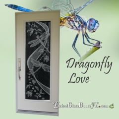 Dragonfly on glass door