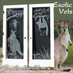 Home-office-doors-Exotic-Vets