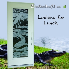 Looking-for-Lunch-alligator