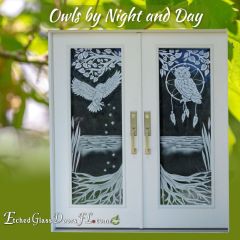 Owls-by-Night-and-Day