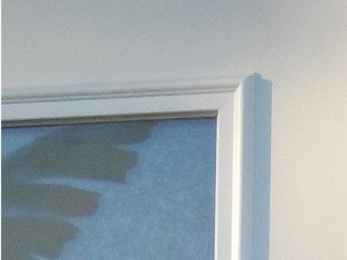 removeable glass door insert in fiberglass door