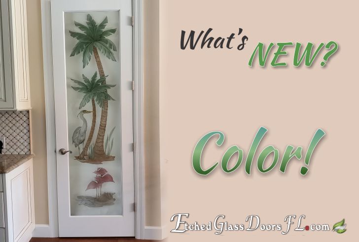 Pantry doors with designs and color
