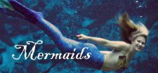 mermaid aquatic themes on glass doors