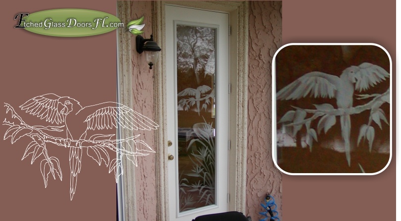 parrot etched on back entry door to patio
